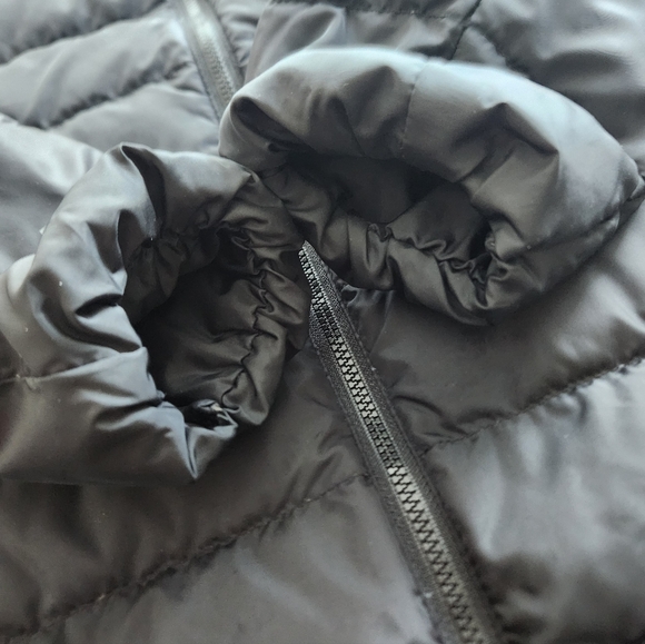 Women's Eddie Bauer Cirruslite Down Parka - Picture 5 of 12